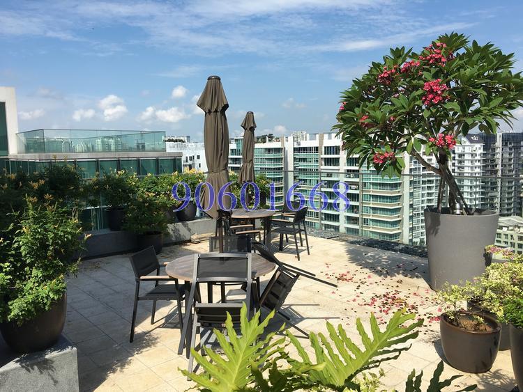 Sennett Residence (D13), Condominium #143304202